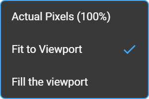 Zoom options menu