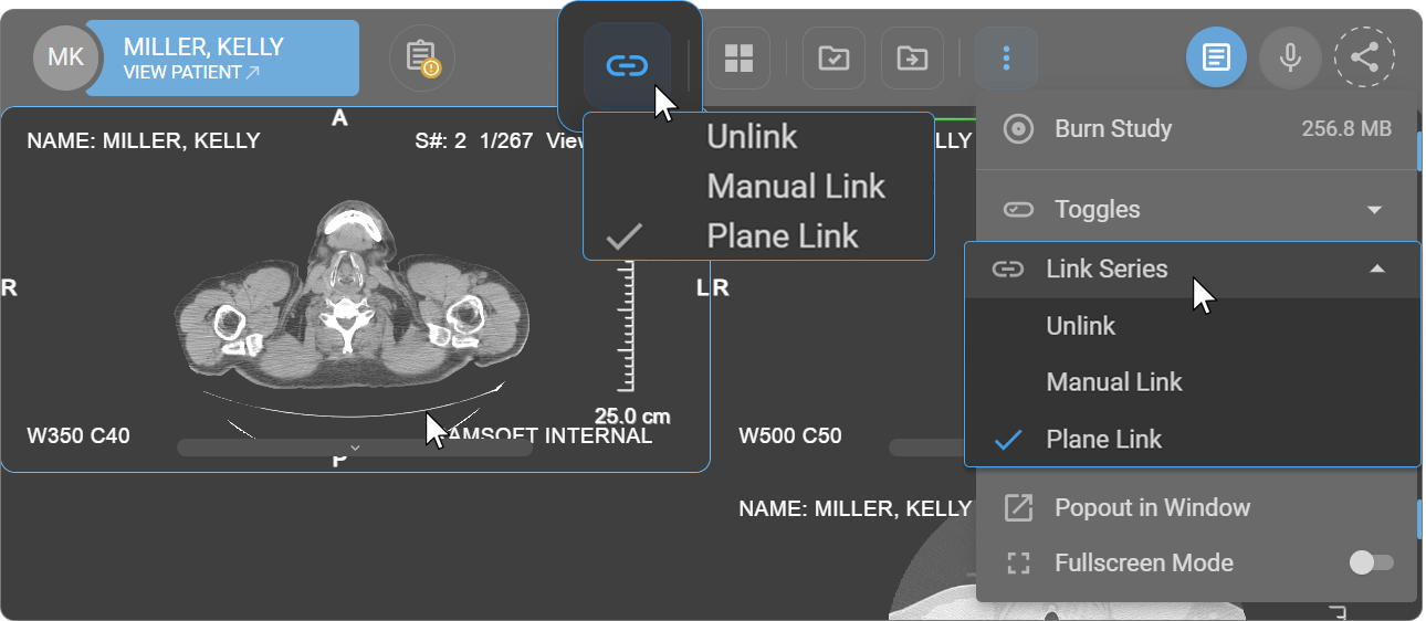 Link icon in toolbar