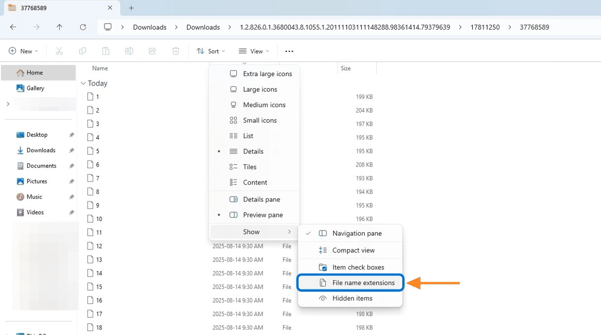 Show file extensions in Windows Explorer
