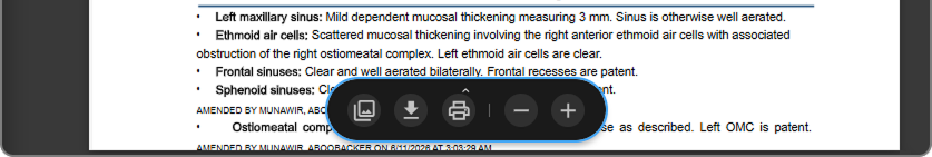 Navigational toolbar at the bottom of the Document Viewer panel