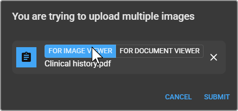 Upload dialog showing FOR IMAGE VIEWER / FOR DOCUMENT VIEWER destination options for PDF and Text files