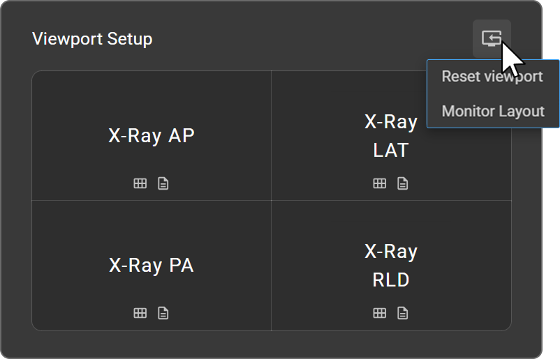 Reset dropdown in the top-right of the Viewport Setup panel, showing Reset viewport and Monitor Layout