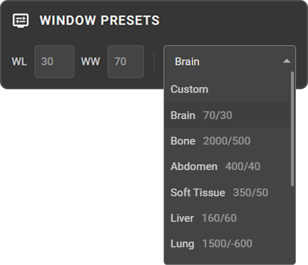 Window Presets section — preset dropdown with WL and WW fields