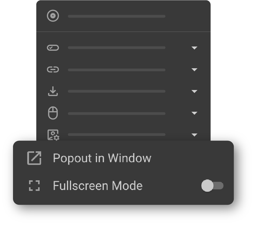 Display and Viewing Options in the More Options menu