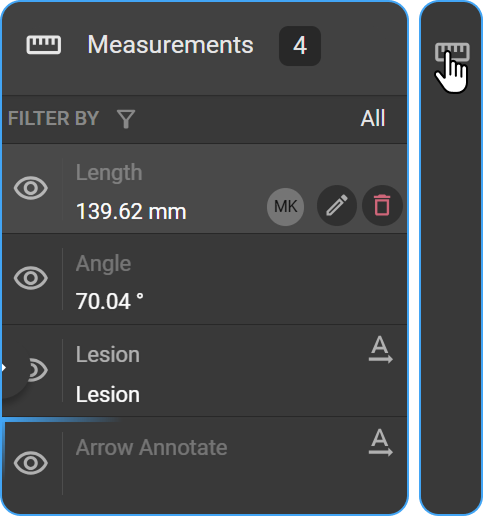 Measurement Panel on the right side of the Image Viewer