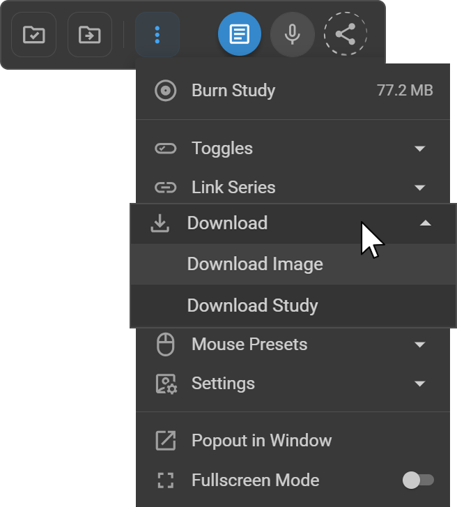 Image Viewer More Options (⋮) menu showing Download options