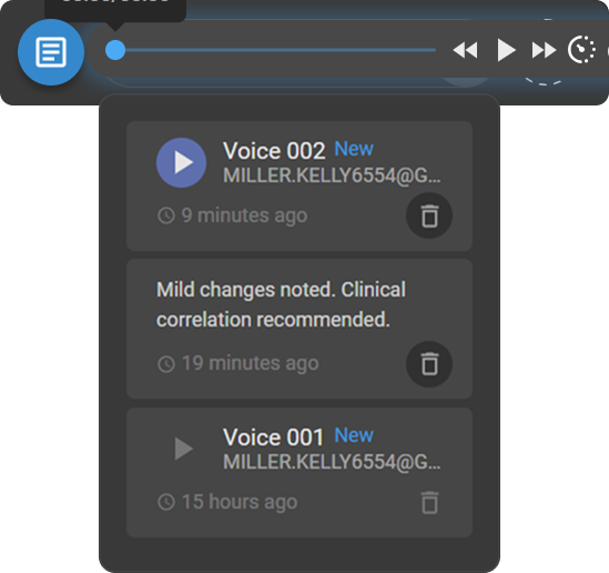 Voice recording in the list showing the Playback and Delete icons