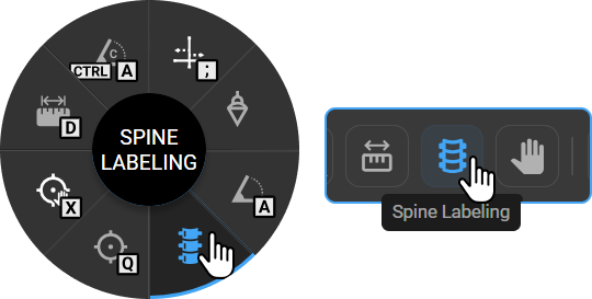 Spine Labelling tool