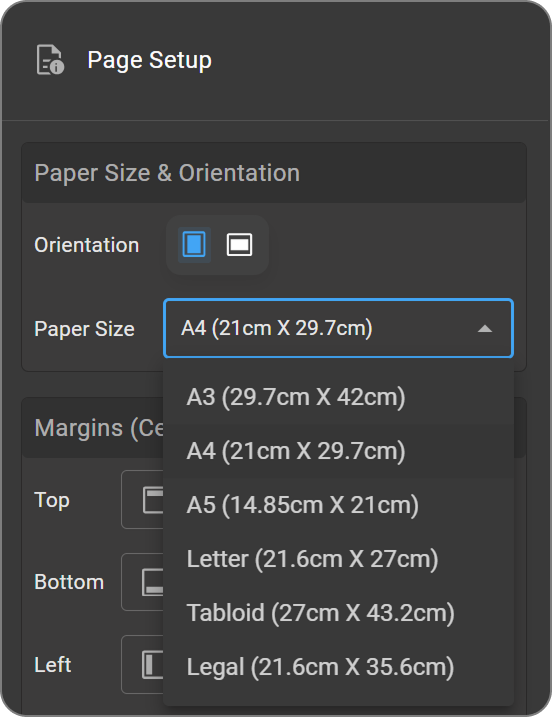 Page Setup Panel