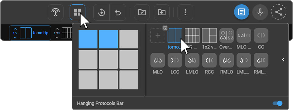 Image placeholder: Layout Selector panel open with viewport grid and protocol tiles visible