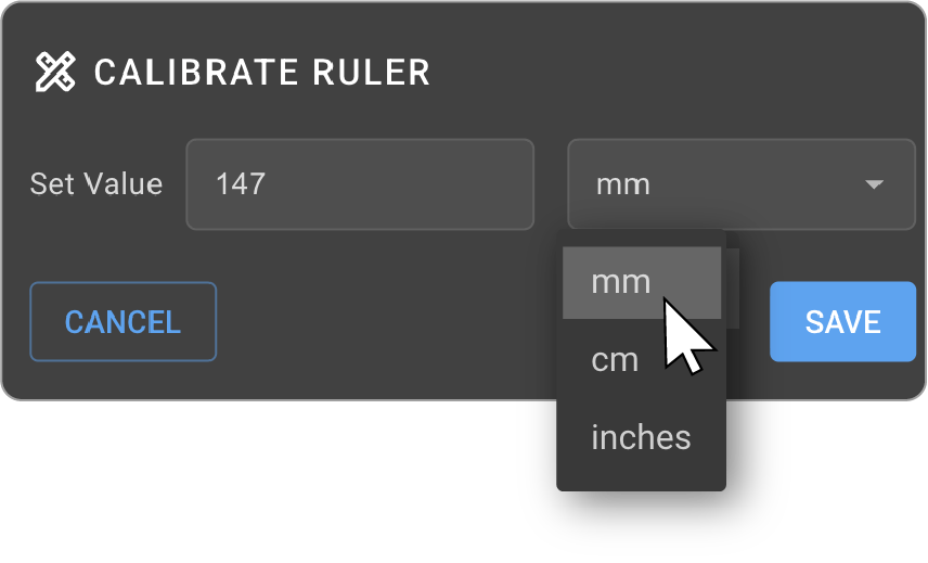 Calibrated scale applied to all subsequent measurements in the viewport