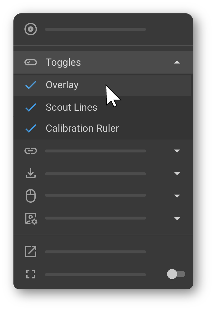 Viewport showing overlay annotations enabled