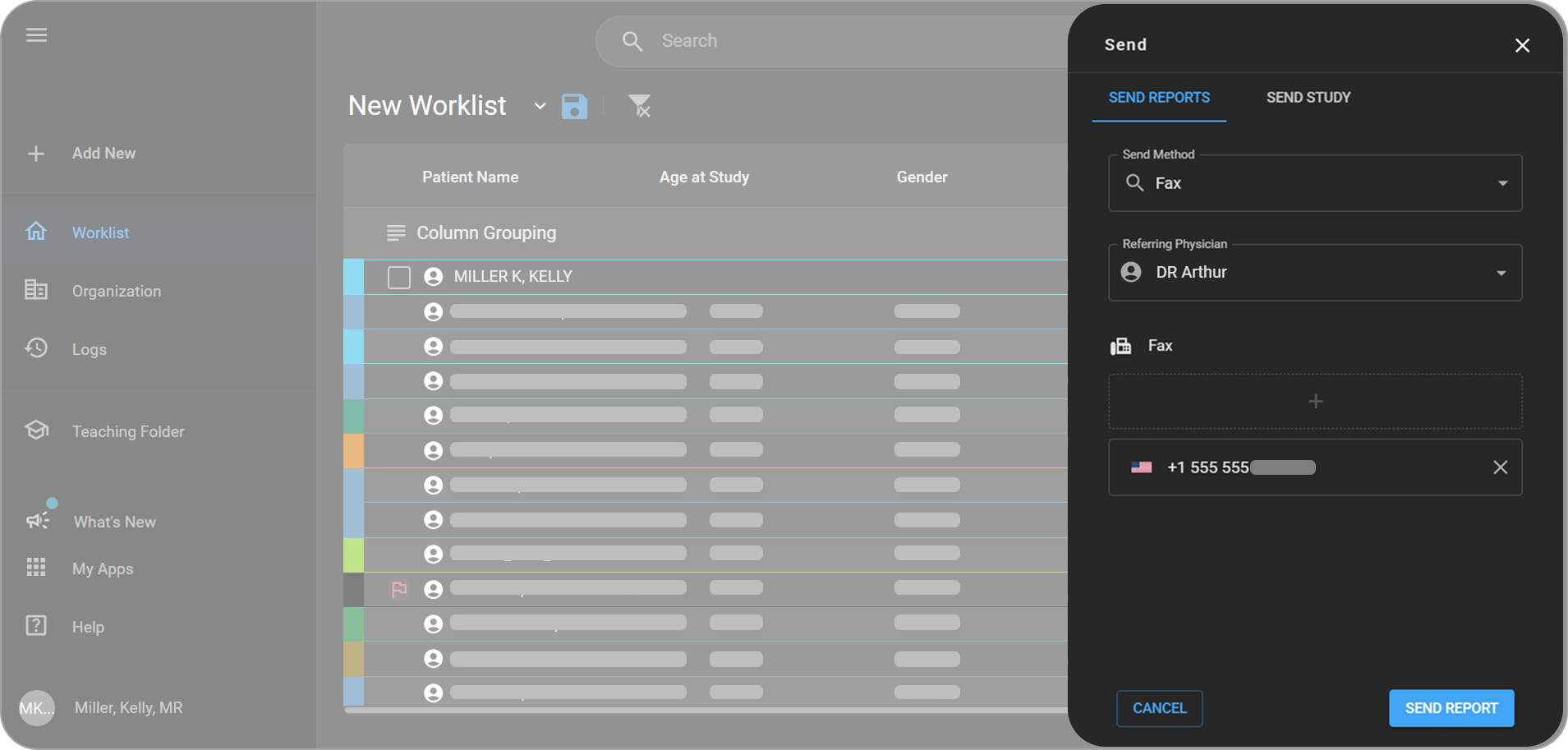 Send panel – Worklist showing Send Reports and Send Study tabs