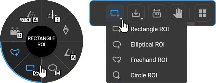 ROI tool dropdown in toolbar