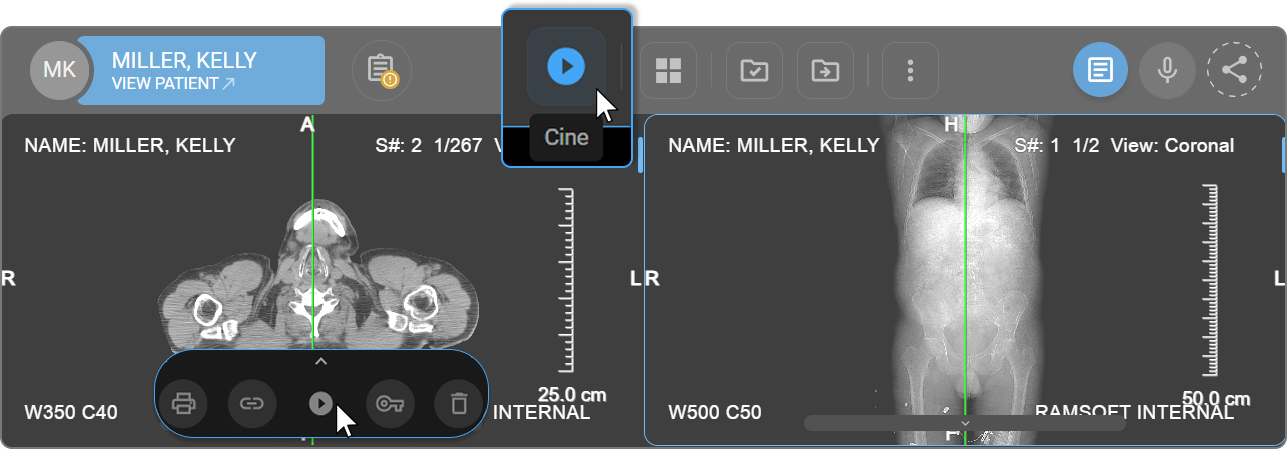 Cine icon in Viewport Menu