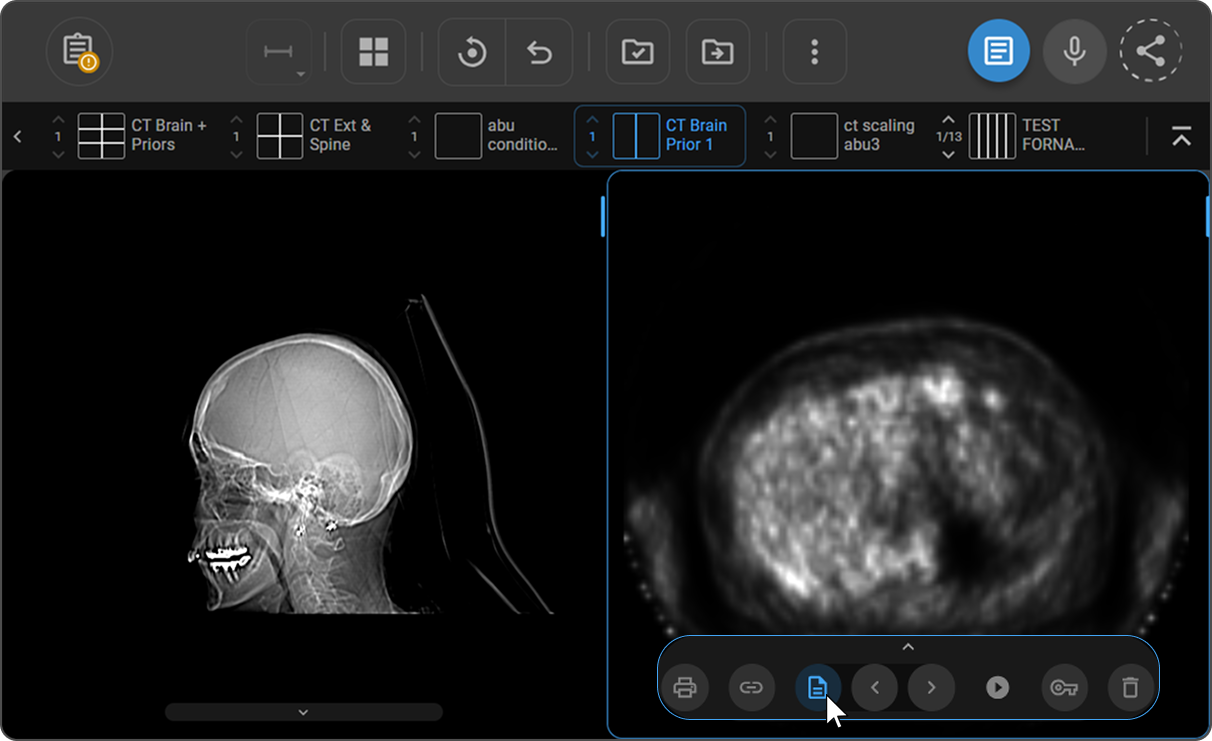 Prior Navigation icon in the Viewport Menu