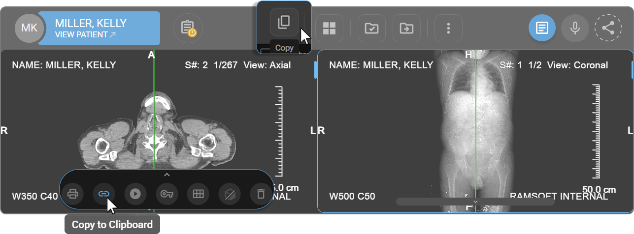 Copy icon in Viewport Menu