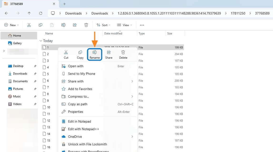 Right-click context menu with Rename highlighted